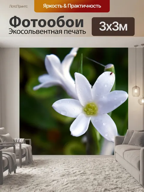 Фотообои Рыбный цветок 4