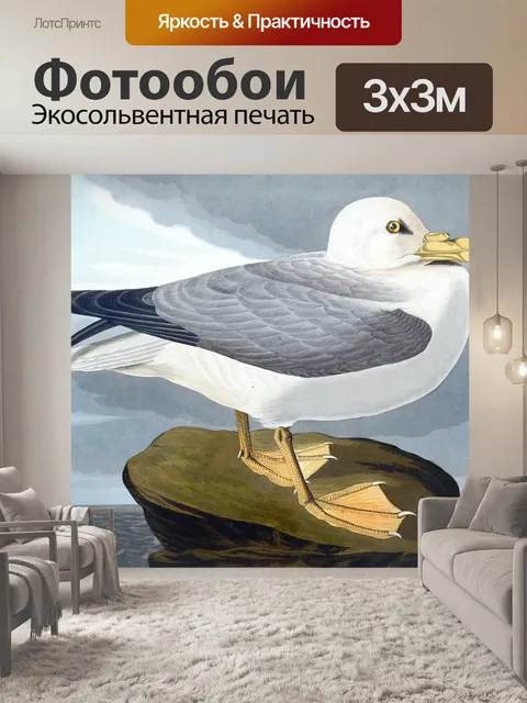 Фотообои Винтажная иллюстрация чайки птицы