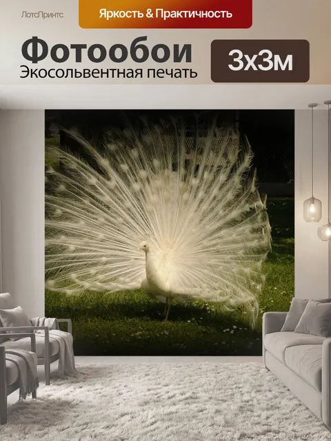 Фотообои Белый павлин