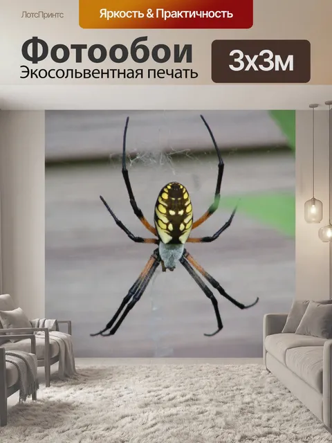 Фотообои Черный и желтый ОСА