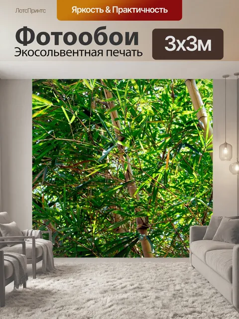 Фотообои Bamboo