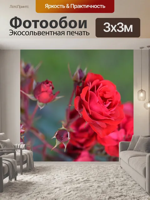 Фотообои Розы