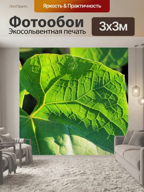 Фотообои Зеленый лист с прожилками