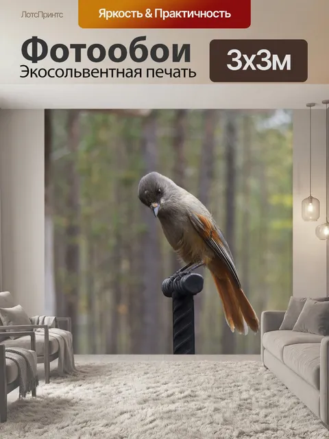 Фотообои Лес