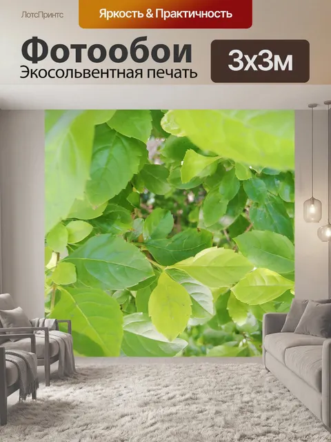 Фотообои Джунгли