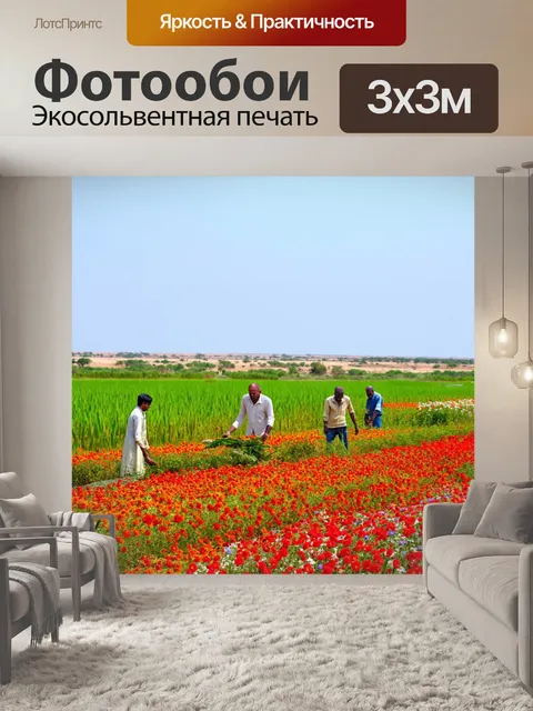 Фотообои египет нил: сельская местность вокруг реки с яркими цветами и зелеными полями