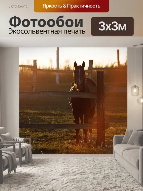 Фотообои Лошадь