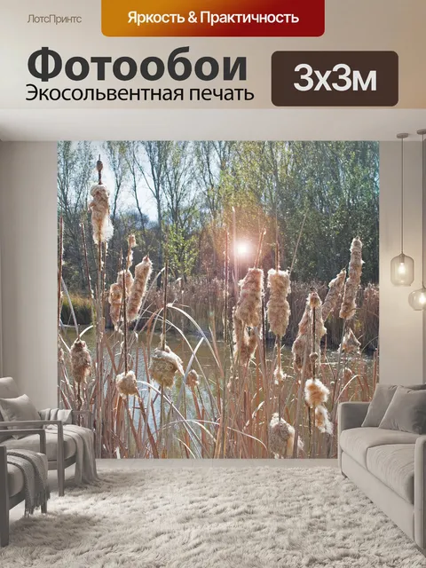 Фотообои Камыши с линзой