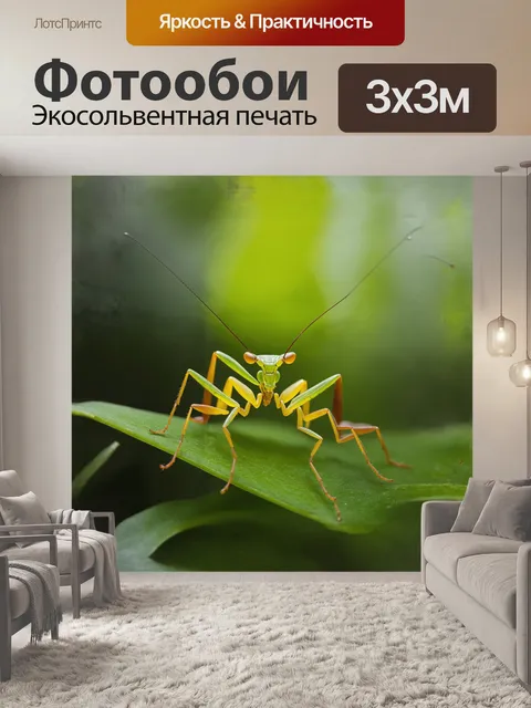 Фотообои позади богомола раскинулся густой тропический лес