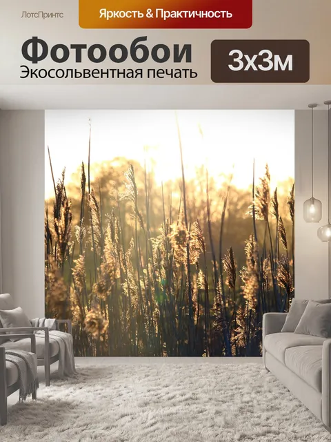 Фотообои Тростник