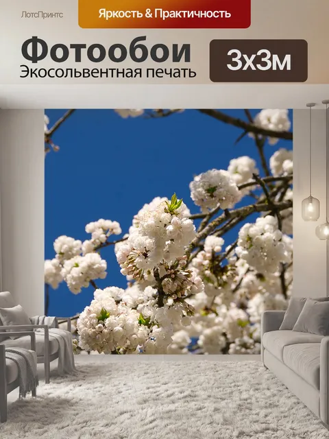 Фотообои Белые цветки