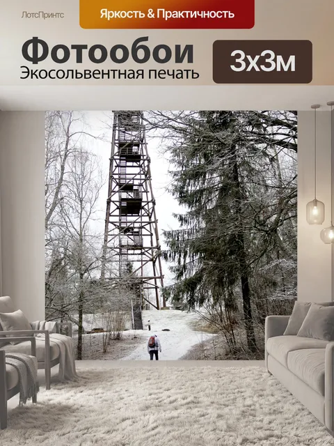 Фотообои Winter