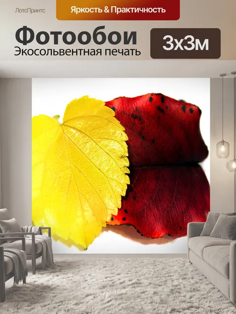 Фотообои Красные и желтые листья
