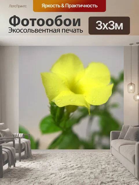 Фотообои Желтые труба цветы 1