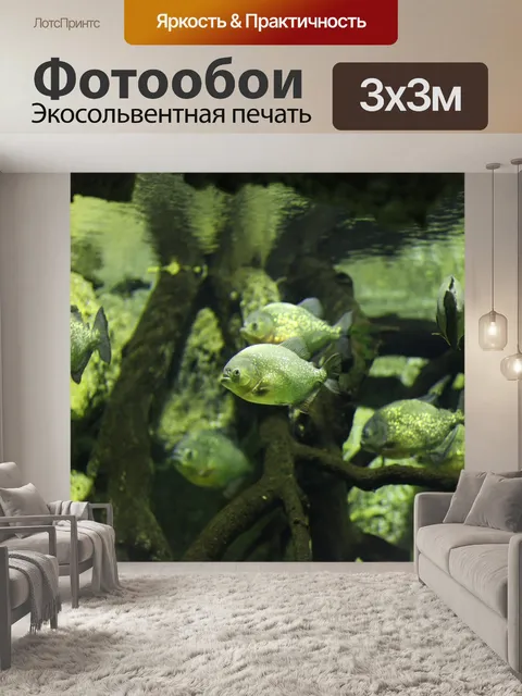 Фотообои Рыба