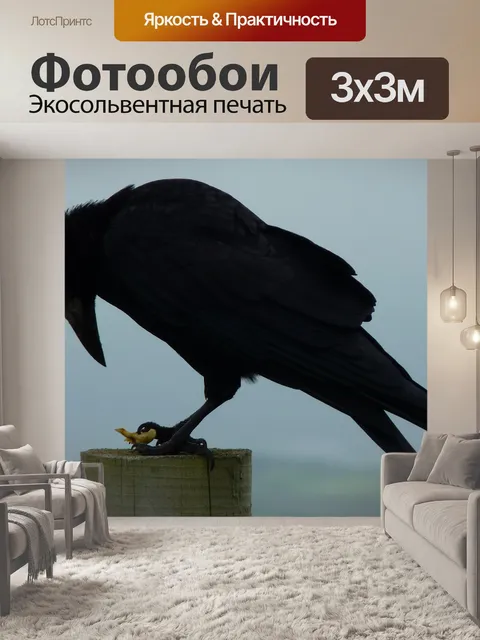 Фотообои Ворона