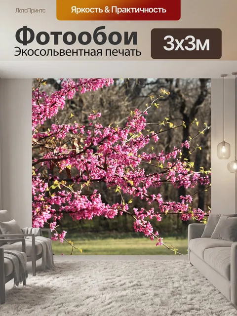 Фотообои Цветущие ветви красного дерева