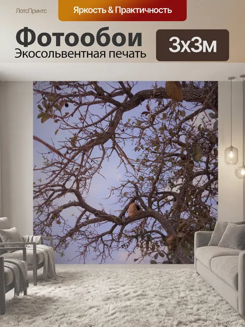 Фотообои птица, дерево, природа, домашняя птица