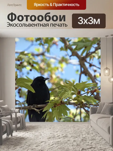 Фотообои Черный дрозд в дереве