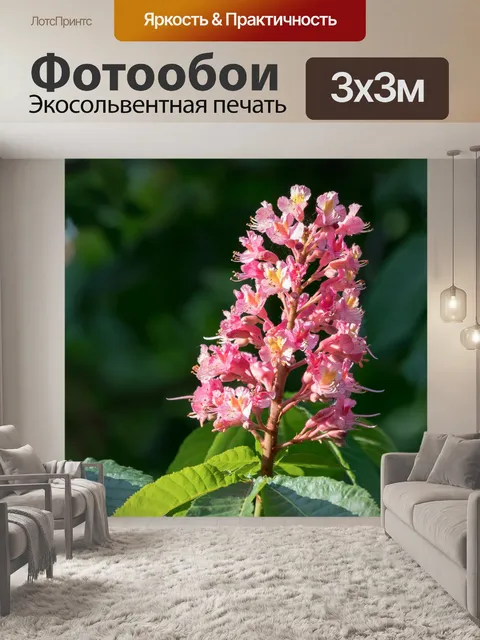 Фотообои Цветок красного каштана