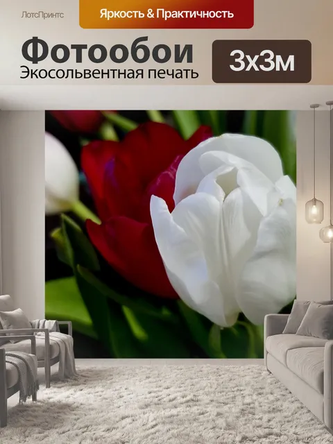 Фотообои Белый тюльпан