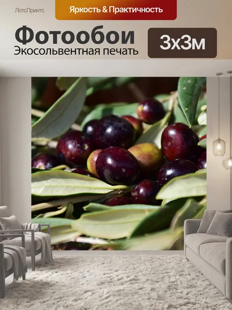 Фотообои Оливки