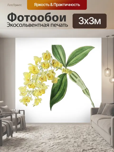 Фотообои Винтажная иллюстрация цветочной орхидеи