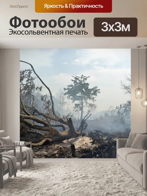 Фотообои Курить