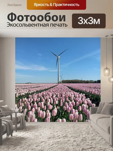 Фотообои Тюльпаны