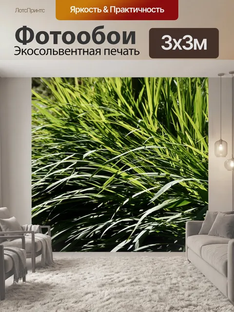 Фотообои Зеленые листья