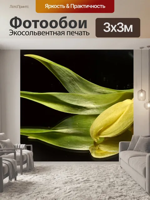 Фотообои Зеленый