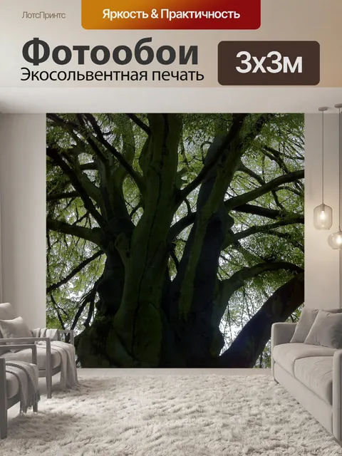 Фотообои Дерево