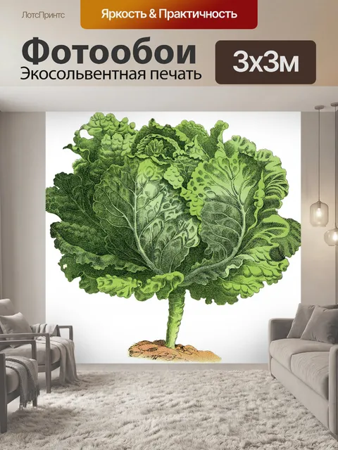 Фотообои Салат кочан винтажного искусства