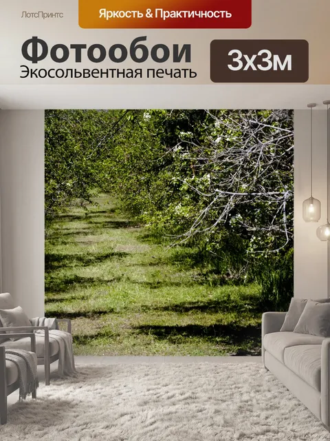 Фотообои Фруктовая роща деревьев