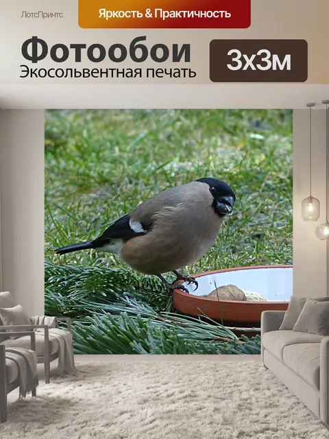 Фотообои Птица