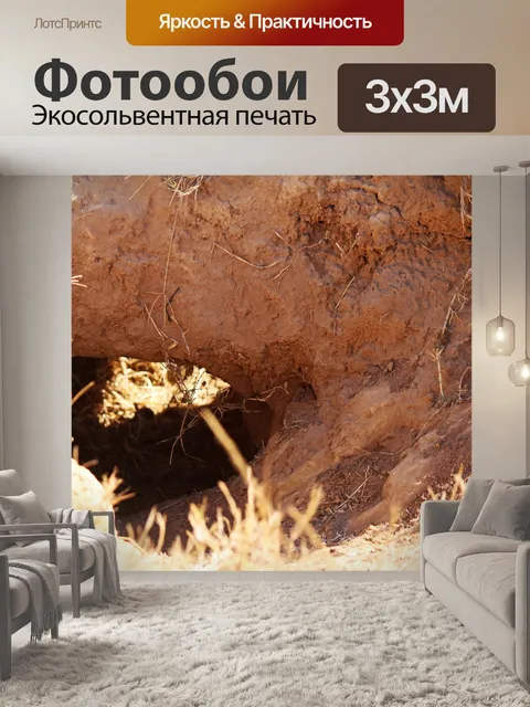 Фотообои земляной туннель, проходящий через берег