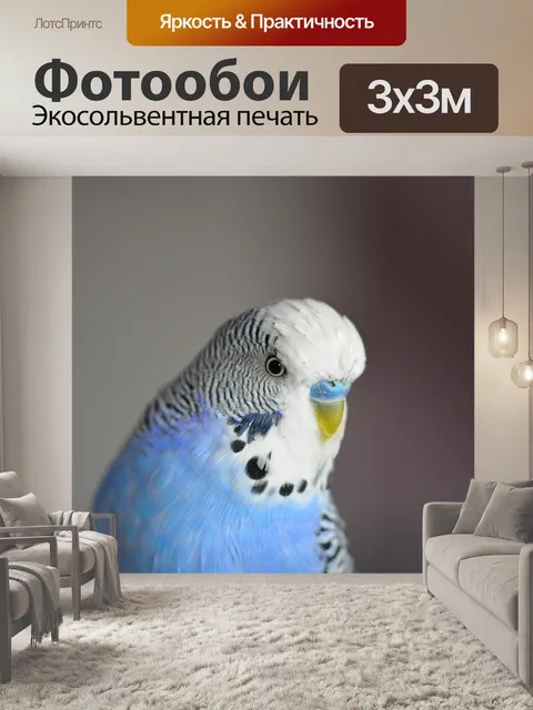 Фотообои Волнистый попугайчик