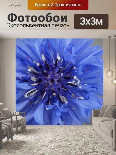 Фотообои Васильковый
