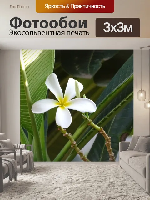 Фотообои Цветы