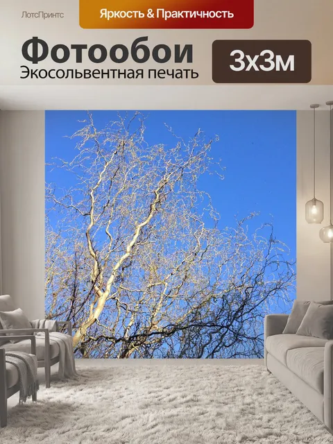 Фотообои Природа