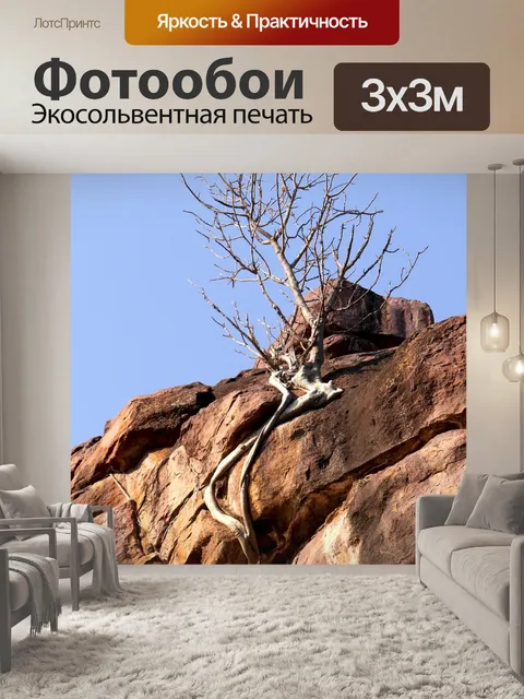 Фотообои Камень
