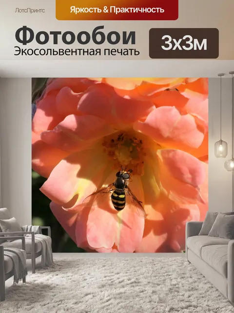 Фотообои Журчание на розовой розе