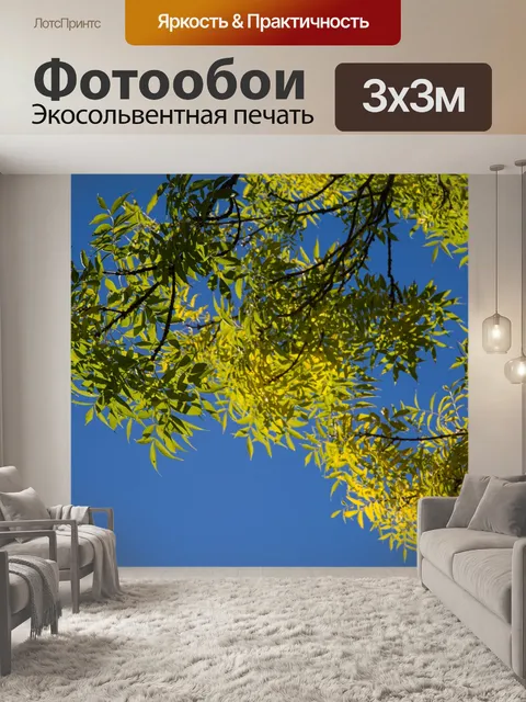 Фотообои Зеленые листья