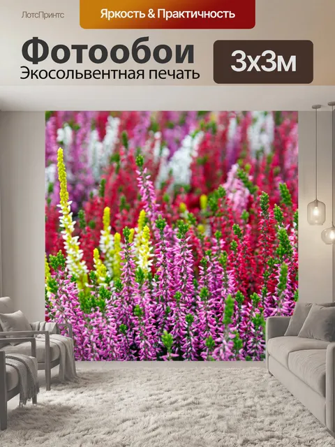 Фотообои красочный вереск