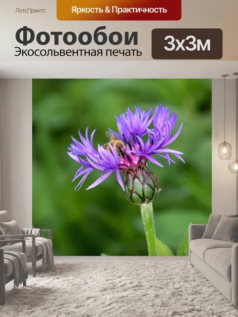 Фотообои Фиолетовый