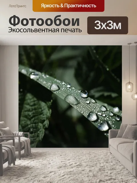 Фотообои Роса