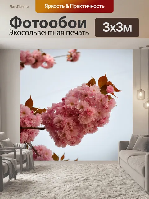 Фотообои Цветущая вишня