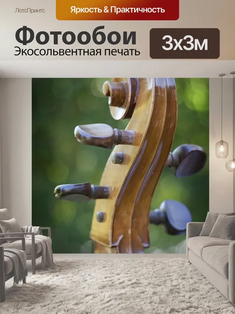 Фотообои Виолончель