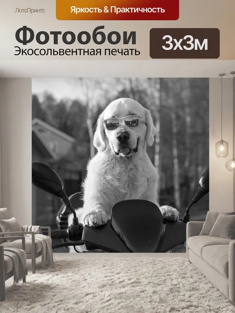 Фотообои Dog