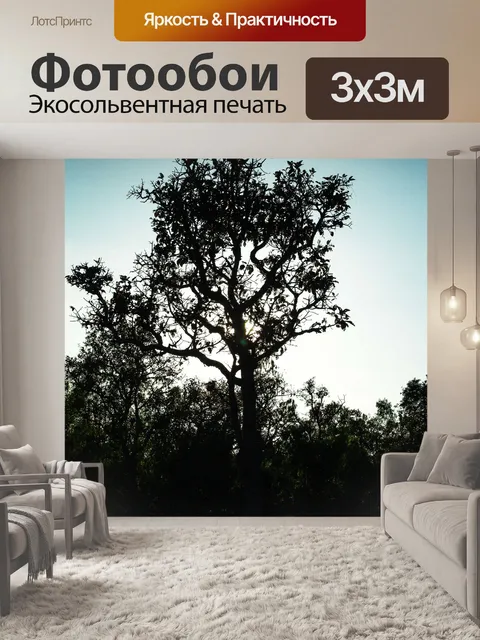 Фотообои Мертвое дерево, силуэт дерева